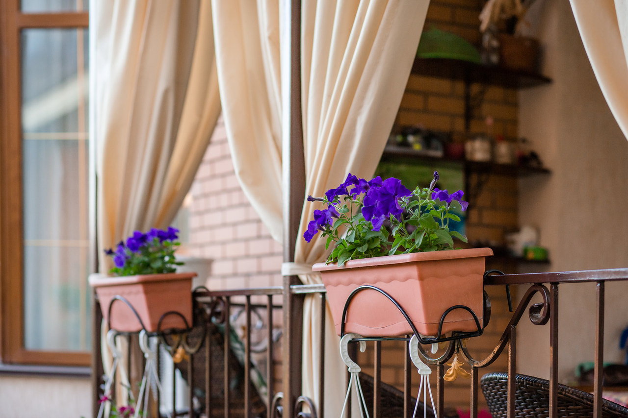 Kwiaty na balkon i taras – jesienne inspiracje