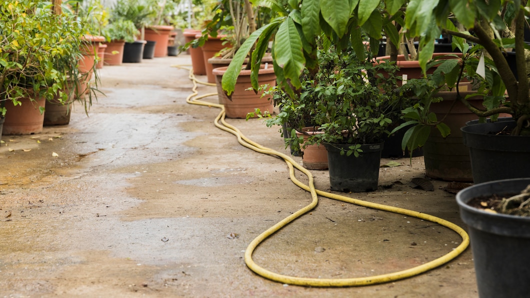 Jak wykorzystać zgromadzoną wodę deszczową w domu i ogrodzie?
