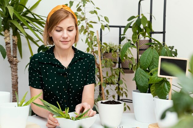 Tworzenie domowego zieleniaka: poradnik dla miłośników roślin doniczkowych